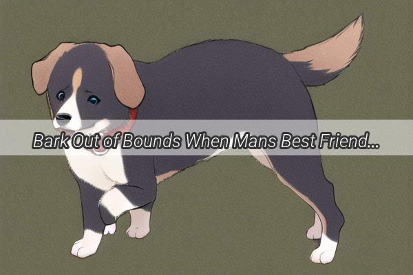 Bark Out of Bounds When Mans Best Friend Shows His Bad Side